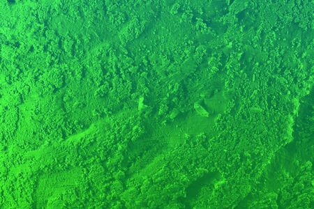 nice green festal style highlighted volume stucco texture - abstract photo background