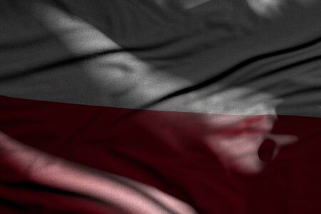 wonderful any occasion flag 3d illustration - illustration of dark Poland flag with folds lie in shadows with light spots on itの写真素材