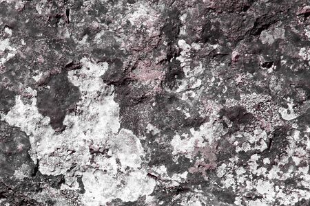 fantastic grunge weathered moss on boulder texture - abstract photo backgroundの写真素材