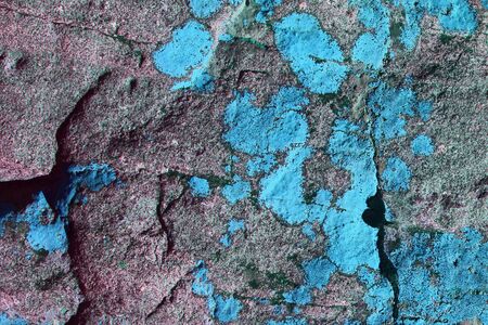 wonderful aged messy lichen on castle wall texture - abstract photo background