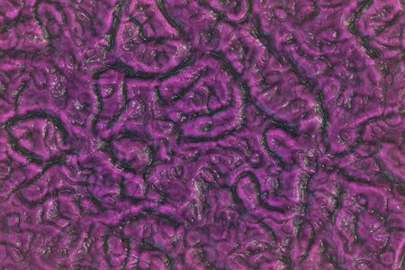 artistic beautiful biological repent surface digitally made background halloween illustrationの写真素材