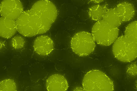amazing lime deep bio dirty digital graphic background illustration
