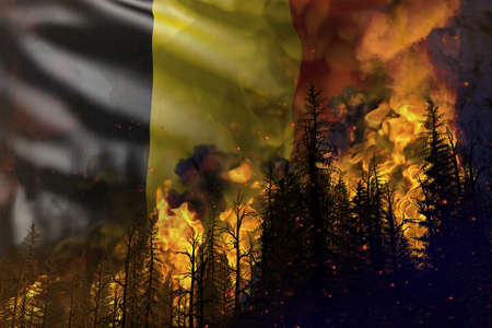 Forest fire natural disaster concept - infernal fire in the woods on Belgium flag background - 3D illustration of natureの写真素材