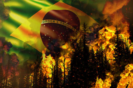 Big forest fire fight concept, natural disaster - burning fire in the trees on Brazil flag...