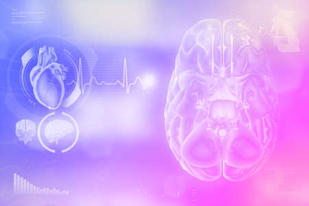 Human brain, brain surgery development concept - detailed modern background, medical 3D illustrationの写真素材