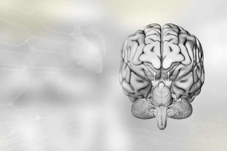 Medical 3D illustration - human brain, neurology analyzing concept - very detailed modern background...