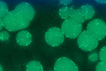 design deep organic decorative computer graphic background texture illustration