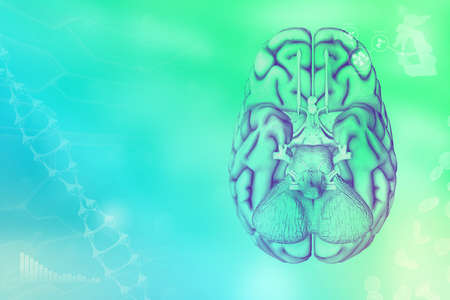 Medical 3D illustration - human brain, neurology analyzing concept - highly detailed electronic...