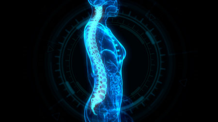 human spine on xray body, cg healthcare 3d illustrationの写真素材
