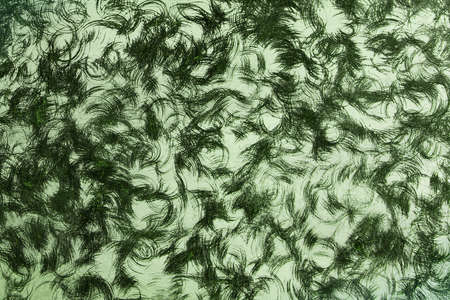 fantastic green grunge round scratched desk texture - abstract photo backgroundの写真素材