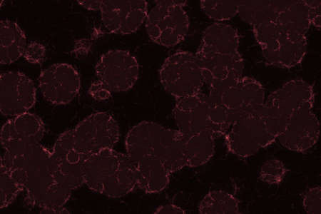 nice red organic noises computer art texture background illustrationの写真素材