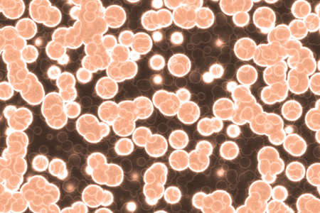 design beautiful many biological monadiforms cg texture illustration