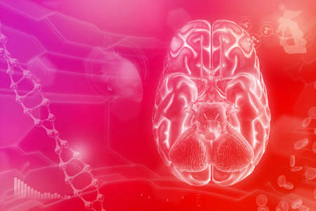 Medical 3D illustration - human brain, nervous research concept - very detailed hi-tech background