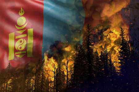 Forest fire fight concept, natural disaster - heavy fire in the woods on Mongolia flag background -...