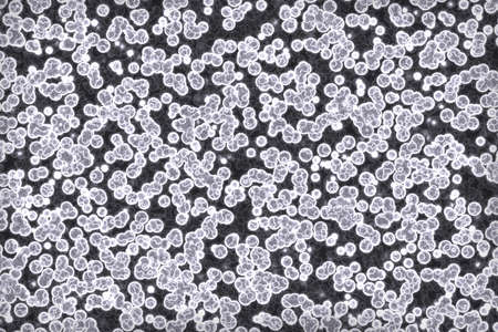 artistic modern many biological cells digital graphic texture illustrationの写真素材