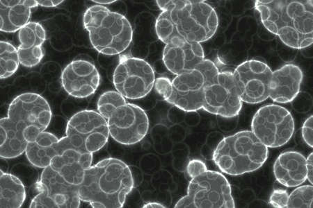 design nice a lot of biological unicellulars computer graphic background illustration