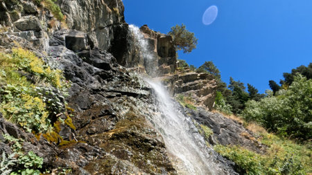 mountain green woods water cascade at summer, voyager experience - photo of natureの写真素材