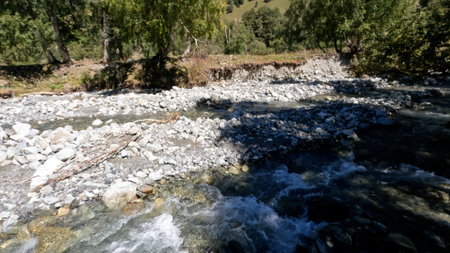 cute fast mountain river with clear water at summertime day - photo of natureの写真素材