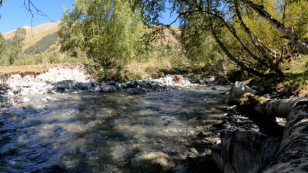 beautiful fast mountain ridge river with clear water at summer day - photo of natureの写真素材