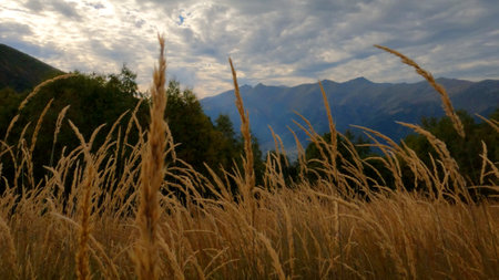 mountain landscape, shot of Arkhyz mountain ridge at autumn with blue sky - photo of nature