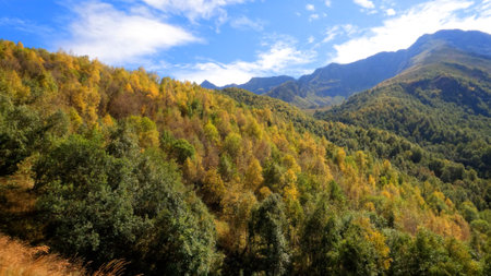 mountainscape, view of Arkhyz mountains at fall with blue sky - photo of natureの写真素材