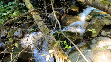 mountain green forest water fall at summertime, traveler adventure - photo of natureの写真素材