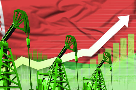 Belarus oil industry concept, industrial illustration - rising up chart on Belarus flag background. 3D Illustrationの写真素材