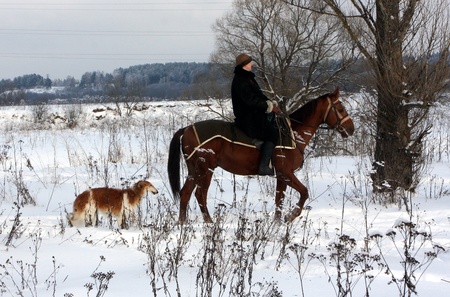 Russia, 16.01.2010g.Psovaya hunting under Mozhaiskomのeditorial素材