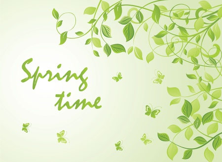 Spring green cardのイラスト素材