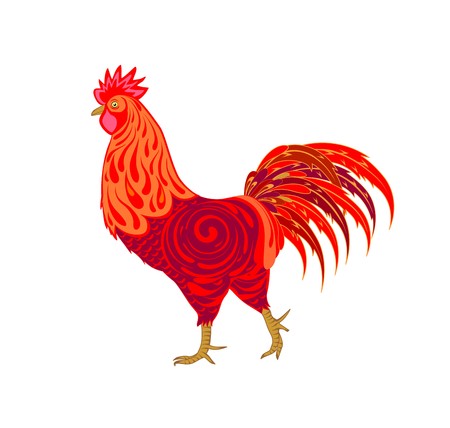 red roosterのイラスト素材