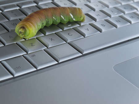 Macro shot of a caterpillar over a computer keyboard.の写真素材