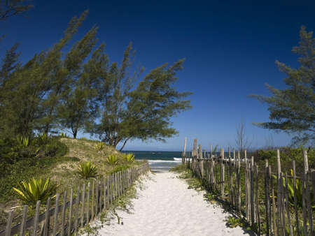 A sand path to the beach. Great cloudless blue sky.の写真素材