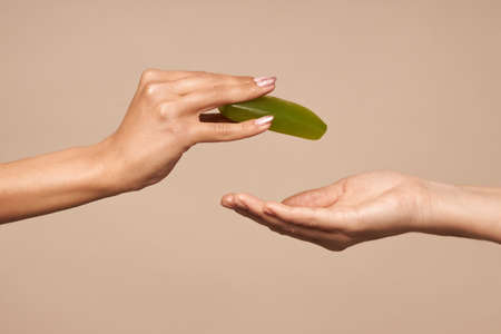 Hygiene. Female hands pass the soap on a beige background. Daily hygiene for the prevention of viral and bacterial infections. High quality photoの写真素材