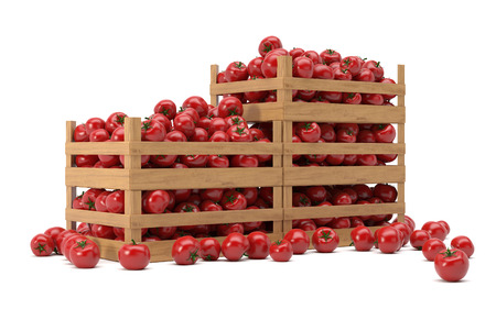 boxes with tomatoesの写真素材