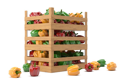 Peppers in boxesの写真素材