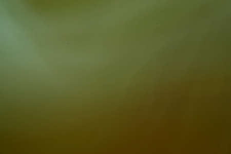 Dark green nature abstract background の写真素材