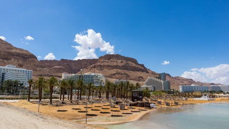 Dead sea view of the beach and hotels