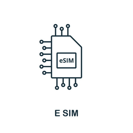 E Sim icon. Simple element from technology collection. Line E Sim icon for templates, infographics and bannersのイラスト素材