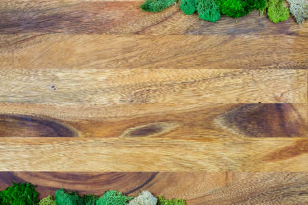 Brown wooden board with moss backgroundの写真素材