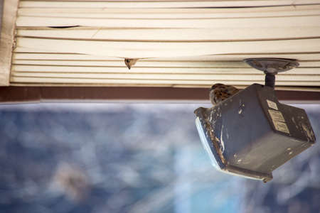 Mom and dad birds nesting in old metal buildingの写真素材