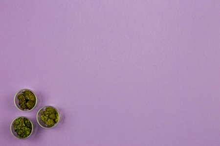 Assorted medical marijuana in glass containers on ultraviolet surfaceの写真素材
