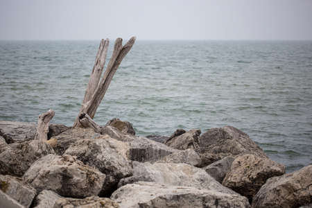 Old drift wood wedged in between huge wave breaking boulders off the shore of Holland, MIの写真素材
