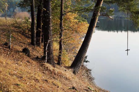 The shore of the forest lake in the autumn with a tarsar for jumping into the waterの写真素材