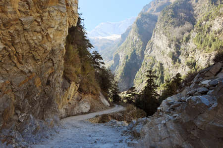 road in a mountain gorgeの写真素材