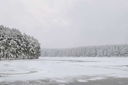 snowbound forest beyond the riverの写真素材