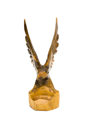 bird on the white backgroundの写真素材