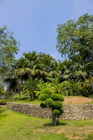 park on the white backgroundの写真素材