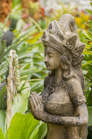 park on the white backgroundの写真素材