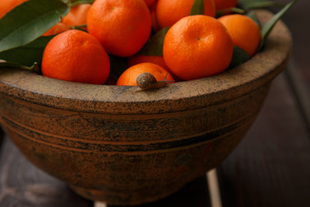 beautiful juicy tangerines in a jugの写真素材