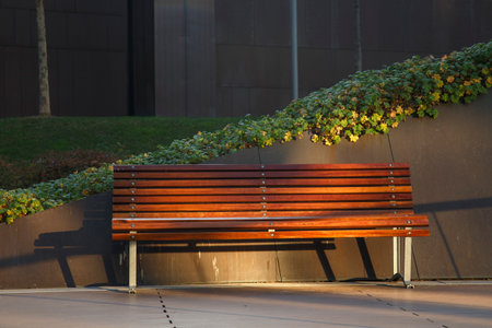 Bench in front of a modern office building with a plant in the foregroundの写真素材